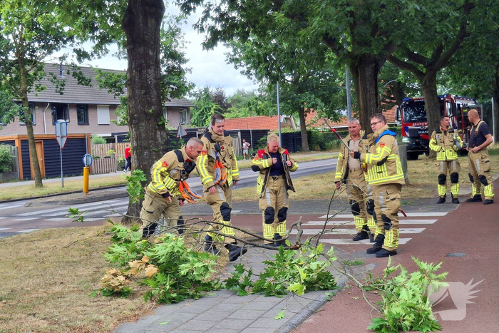 Brandweer verwijdert gevaarlijk hangende tak boven fietspad