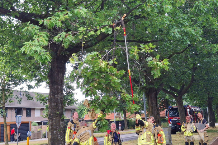 Brandweer verwijdert gevaarlijk hangende tak boven fietspad