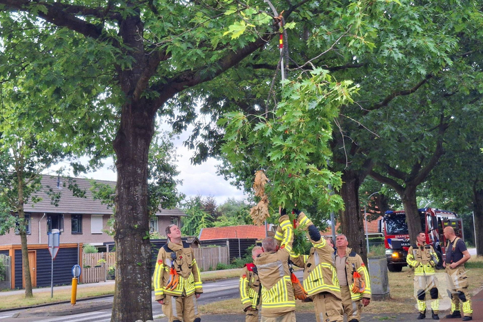 Brandweer verwijdert gevaarlijk hangende tak boven fietspad
