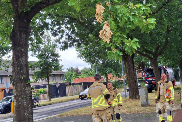 Brandweer verwijdert gevaarlijk hangende tak boven fietspad
