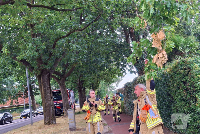Brandweer verwijdert gevaarlijk hangende tak boven fietspad
