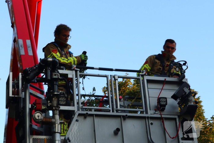 Kraai vast met poot in boom, brandweer schiet te hulp
