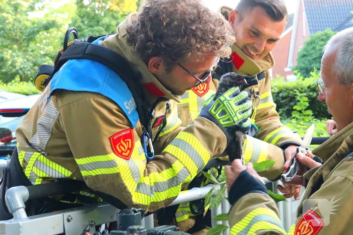 nieuws raperbeek barneveld