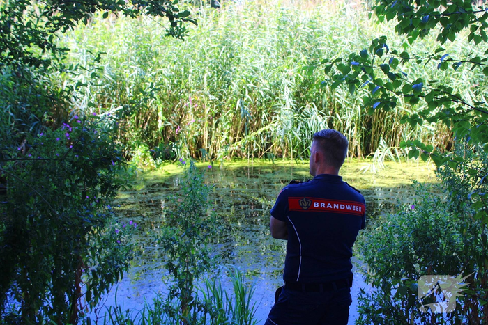 Brandweer redt jonge ganzen uit benarde situatie