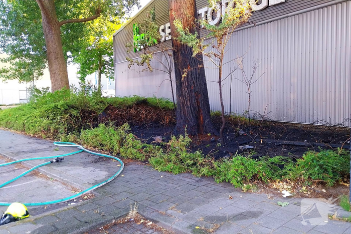 Brand in boom en bosschages naast bedrijfspand