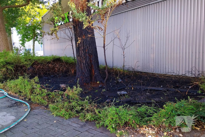 Brand in boom en bosschages naast bedrijfspand