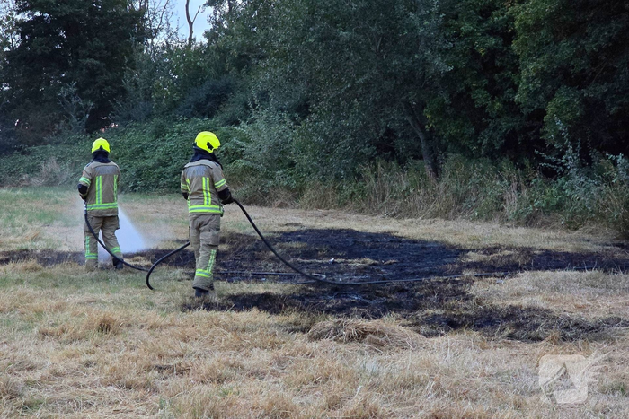 Brandweer snel in actie bij natuurbrand