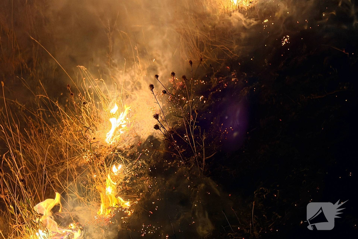 Brand in berm langs snelweg