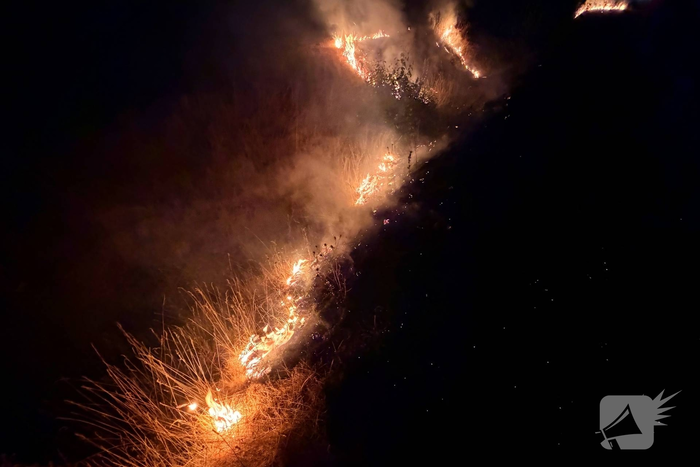 Brand in berm langs snelweg