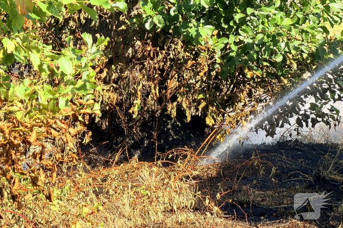 Brand in berm geblust