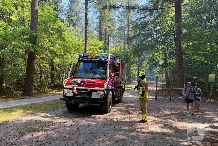 Hulpdiensten snel bij brand in bos