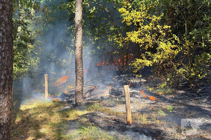 Hulpdiensten snel bij brand in bos