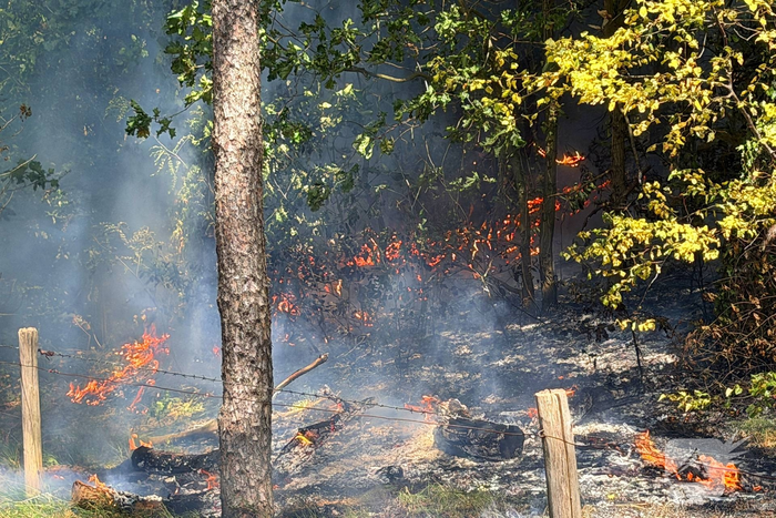 Hulpdiensten snel bij brand in bos