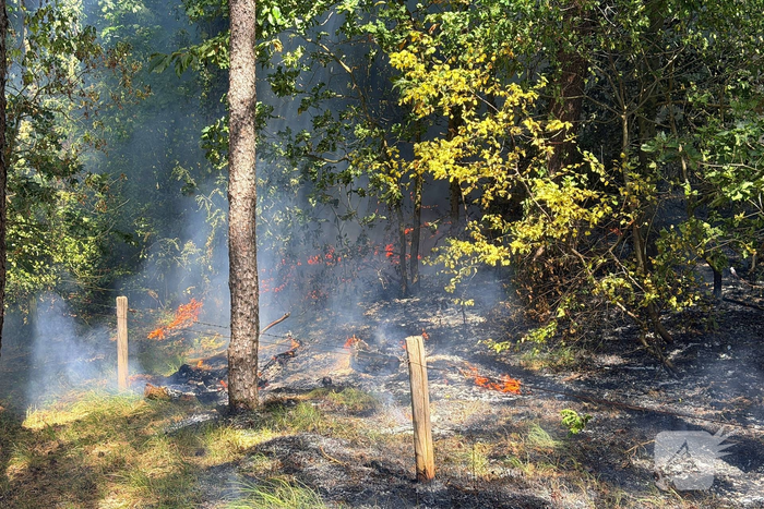 Hulpdiensten snel bij brand in bos