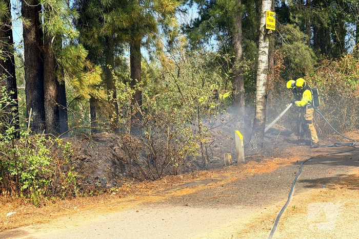 Brand in bosgebied veroorzaakt verontrustende situatie