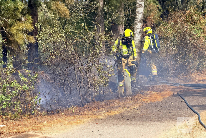 Brand in bosgebied veroorzaakt verontrustende situatie
