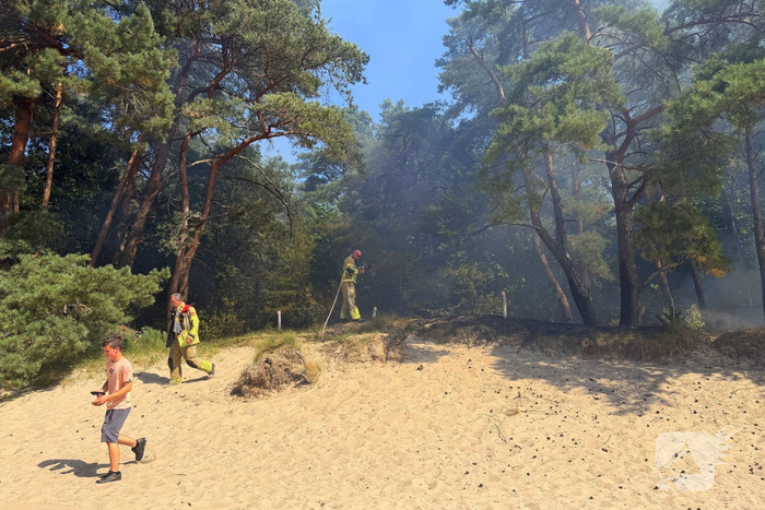 Hulpdiensten snel bij brand in bos