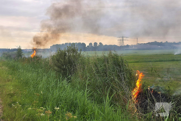 Brandweer dooft vlammen in bermen