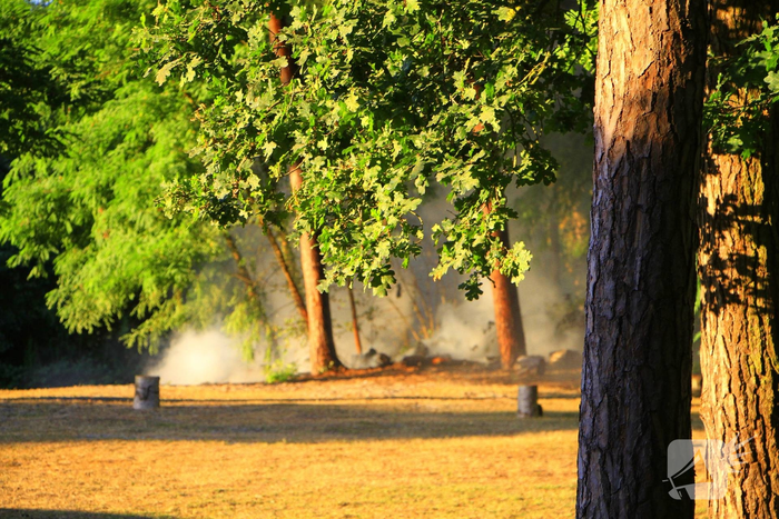Drone team ingeschakeld bij bosbrand