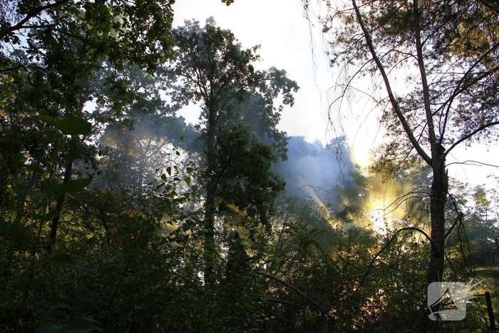 Drone team ingeschakeld bij bosbrand