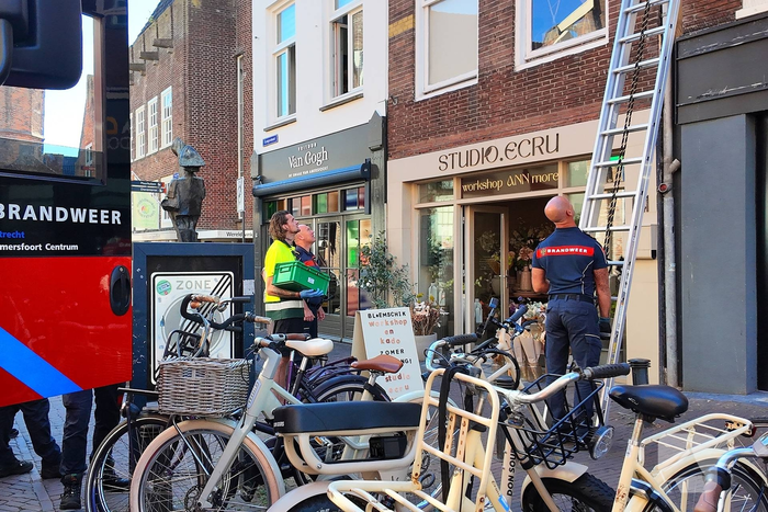 Brandweer redt duif uit dakgoot