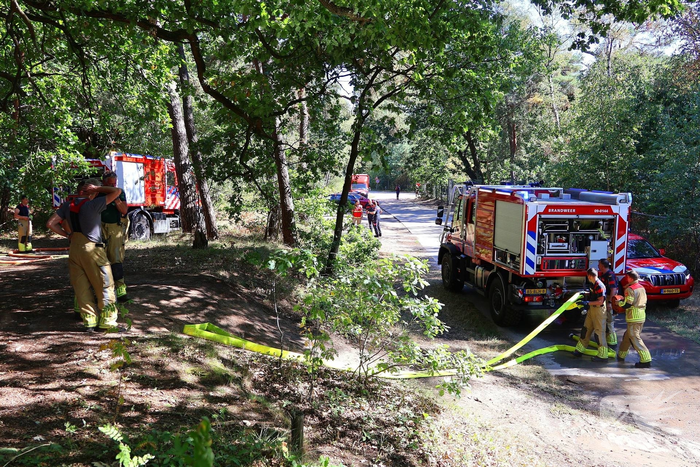 Bosgrond en begroeiing zwartgeblakerd na brand