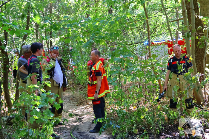 Bosgrond en begroeiing zwartgeblakerd na brand