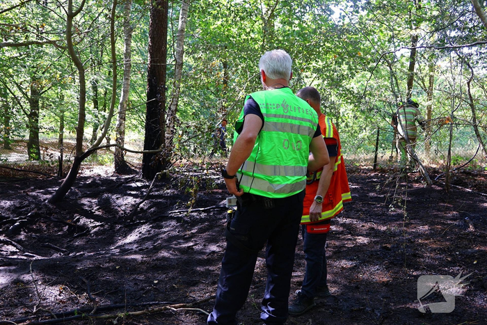 Bosgrond en begroeiing zwartgeblakerd na brand