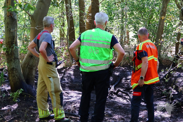 Bosgrond en begroeiing zwartgeblakerd na brand