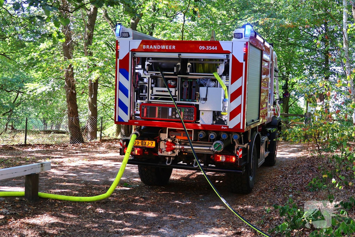 Bosgrond en begroeiing zwartgeblakerd na brand