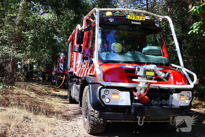 Bosgrond en begroeiing zwartgeblakerd na brand