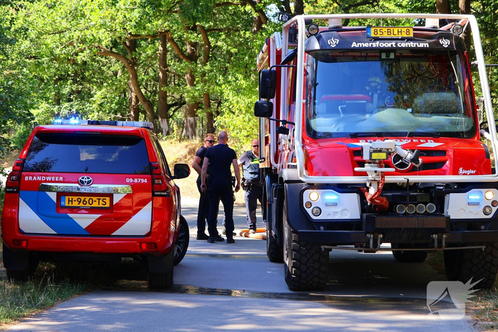 Bosgrond en begroeiing zwartgeblakerd na brand