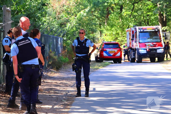 Bosgrond en begroeiing zwartgeblakerd na brand