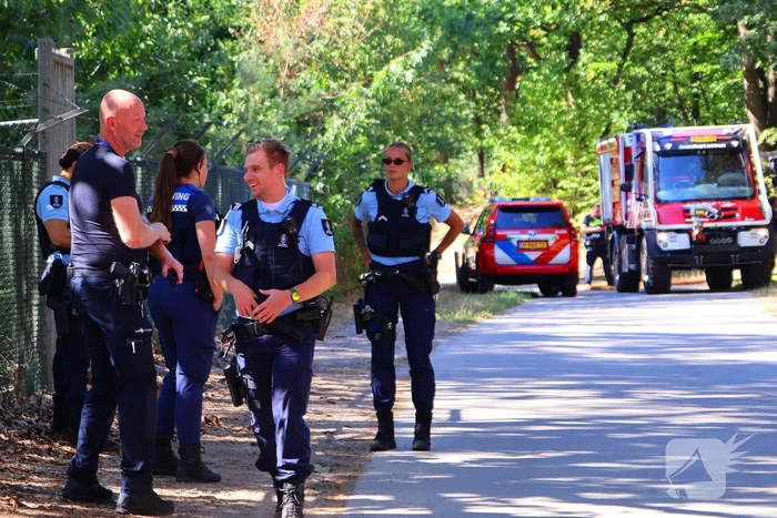 Bosgrond en begroeiing zwartgeblakerd na brand