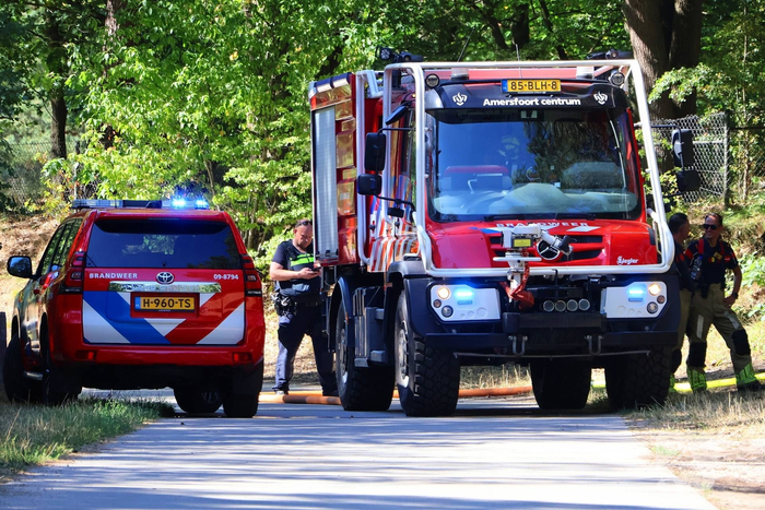 Bosgrond en begroeiing zwartgeblakerd na brand