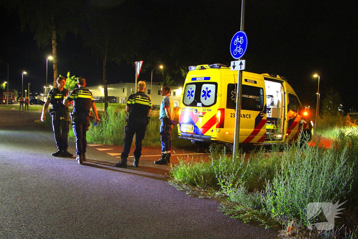Bestuurder gewond bij aanrijding met boom