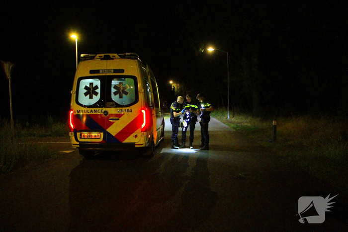 Bestuurder gewond bij aanrijding met boom