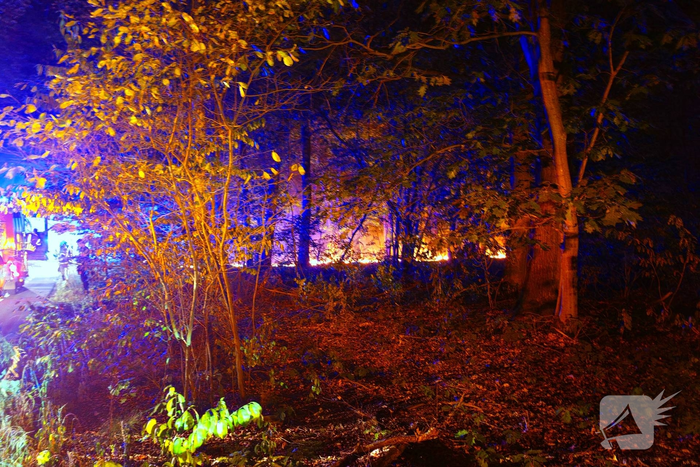 Brand in bosgebied leidt tot grote inzet