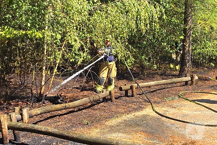 Beginnende bosbrand door snel optreden in de kiem gesmoord
