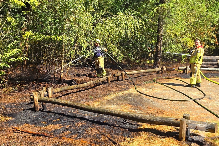 Beginnende bosbrand door snel optreden in de kiem gesmoord