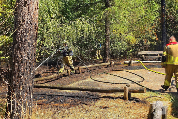 Beginnende bosbrand door snel optreden in de kiem gesmoord