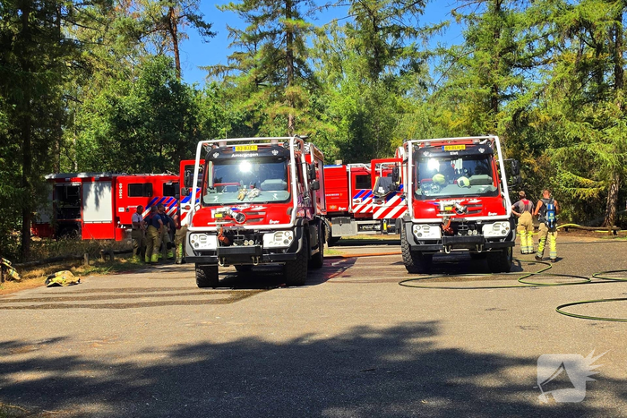 Beginnende bosbrand door snel optreden in de kiem gesmoord