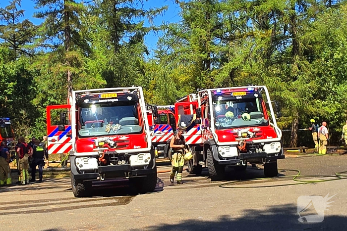 Beginnende bosbrand door snel optreden in de kiem gesmoord