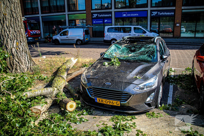 natuur goudse rijweg rotterdam