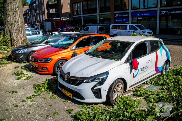 Grote tak valt op auto's en veroorzaakt schade