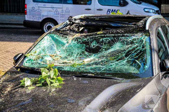 Grote tak valt op auto's en veroorzaakt schade