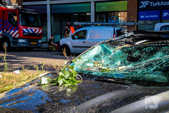 Grote tak valt op auto's en veroorzaakt schade