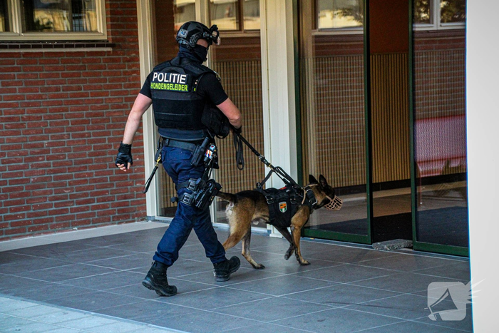 steekincident joliotplaats rotterdam