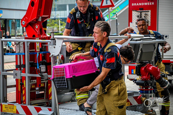 nieuws g.h. betzweg rotterdam