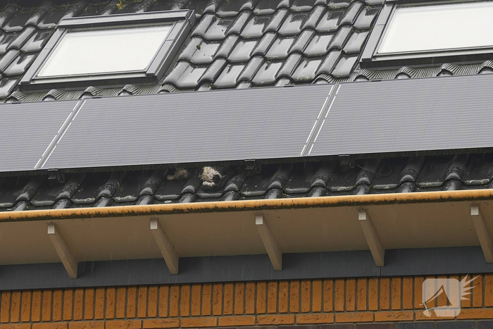 Kat vast onder zonnepanelen, brandweer in actie